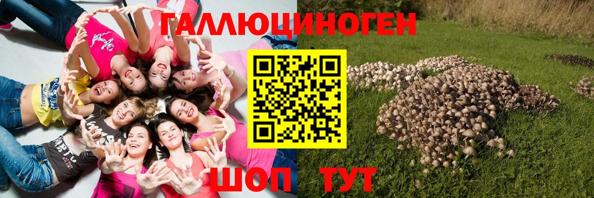 Галлюциногенные грибы ЛСД  Вход с VPN  Медногорск 