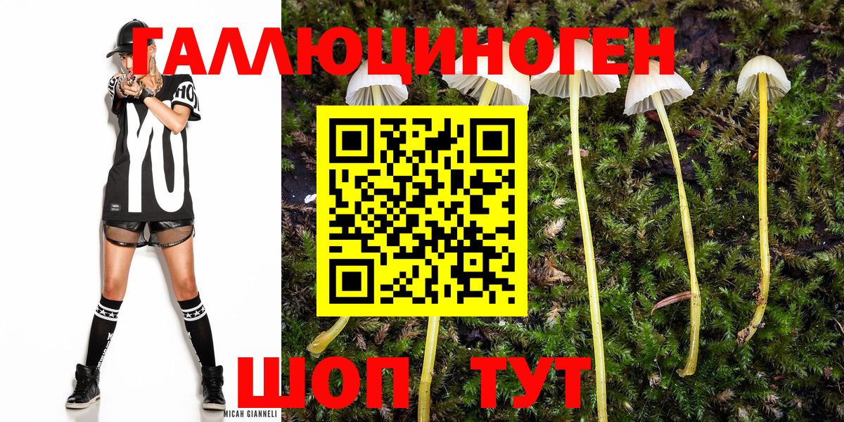 Псилоцибиновые грибы GOLDEN TEACHER Медногорск